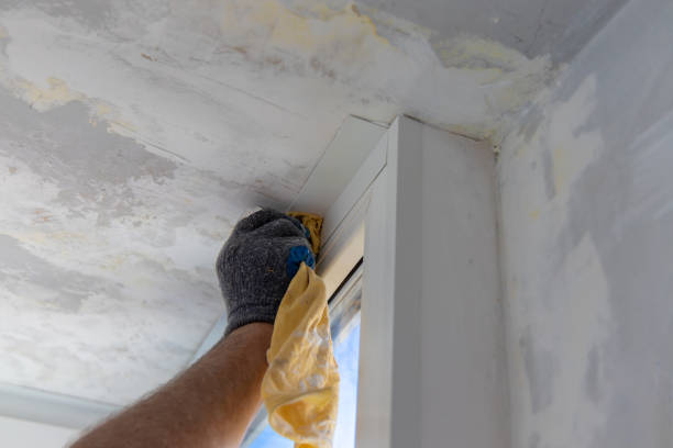 istock Handyman installing glass windows on terrace and carpentry work 1204312201