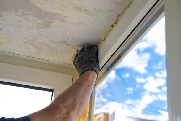 istock Handyman installing glass windows on terrace and carpentry work 1204312204