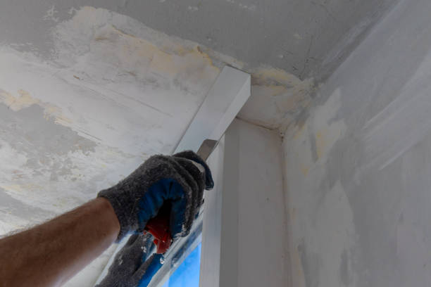 istock Handyman installing glass windows on terrace and carpentry work 1204312223