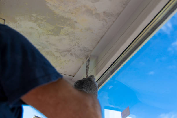istock Handyman installing glass windows on terrace and carpentry work 1204312255