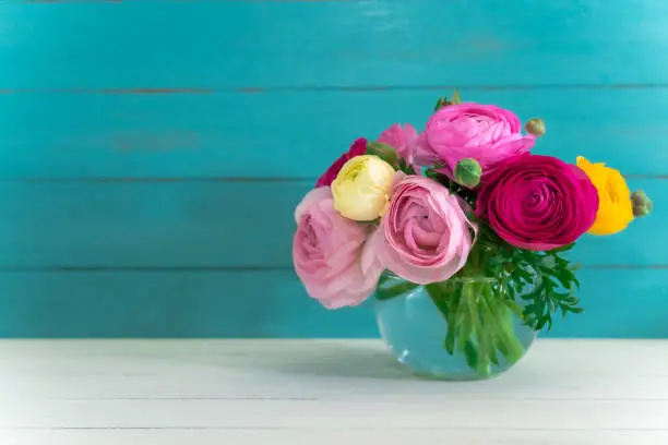 Beautiful ranunculus (buttercup) in vase on rustic wooden background