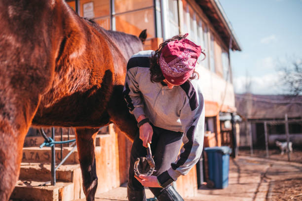 Shoeing the horse