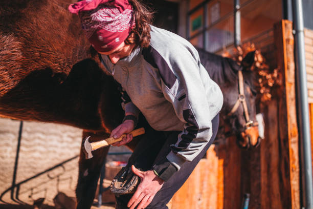 istock Shoeing the horse 1204328068
