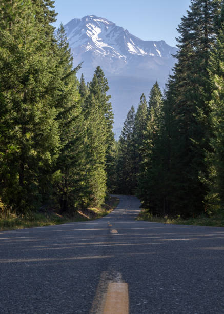 istock Road Leading to a Mountain 1204328207