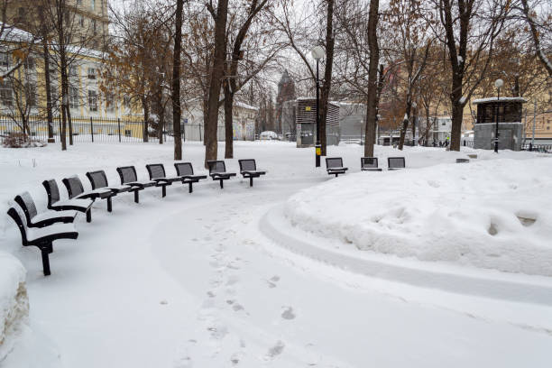 istock Snow in Winter in a Parc with Benches and Trees 1204330336