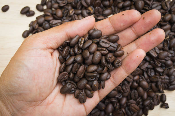 istock men hand hold coffee beans on bright wooden background 1204330481