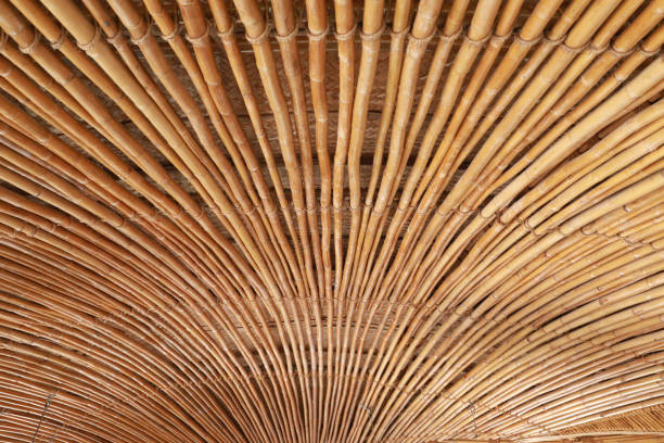 istock modern vintage style of ceiling made from bamboo 1204330488