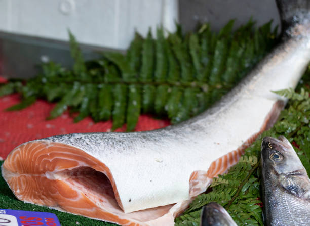 istock Raw salmon slice on chees. It has more than one piece. Close up. 1204331094
