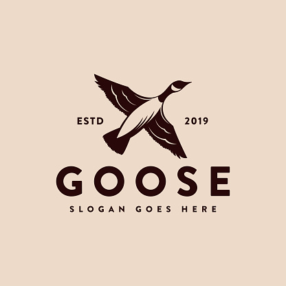 Vintage Canada goose duck flying logo