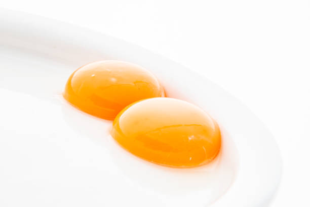 istock Raw yellow egg yolk in white plate. Fresh chicken egg yolk image. 1204335635