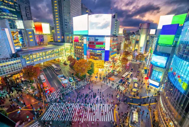 Shibuya Crossing from top view at twilight in Tokyo, Japan