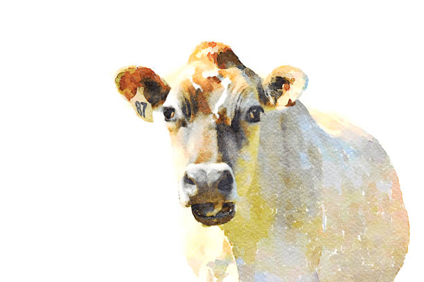 акварель иллюстрация коровы - retro revival old fashioned hand colored photography стоковые фото и изображения