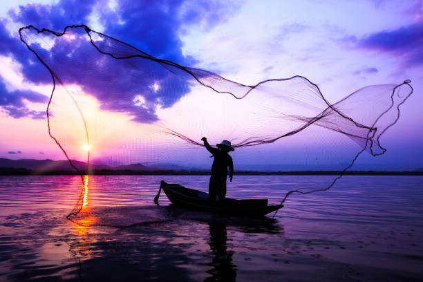Fisherman in the lake Silhouetted of fisherman catching fish in the lake fishing net photos stock pictures, royalty-free photos & images