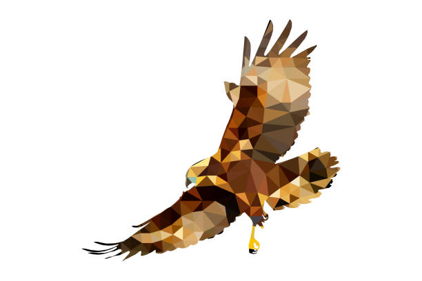 Polygonal Bird. Low poly art background. Low poly effect. eurasian buzzard photos stock pictures, royalty-free photos & images