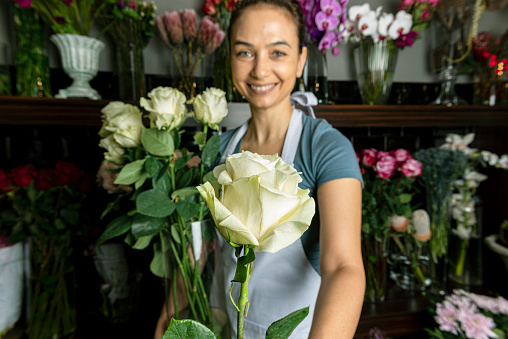 Young woman holding fresh rose.