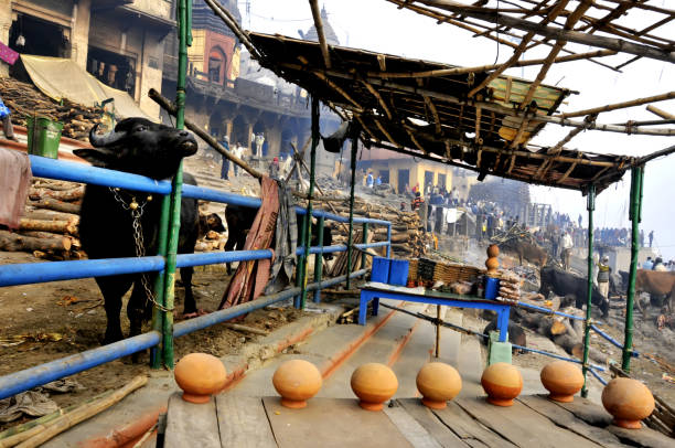 istock VARANASI CITY OF SHIVA 1204348345