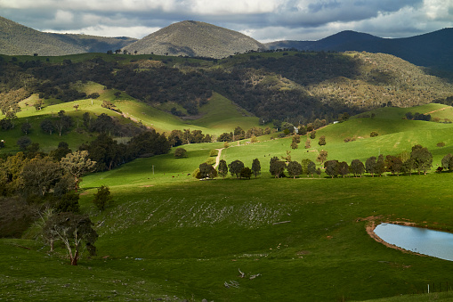 Rural scenes from around Wee Jasper, NSW, Australia.