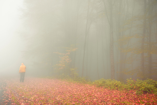 Man wandering in foggy forest in yellow raincoat