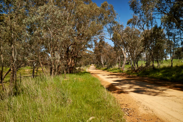 istock Rural scenes from around Wee Jasper NSW, Australia 1204354059