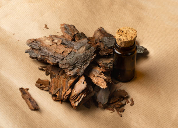 istock Tree Bark or Garden Mulch on Paper Background 1204354742