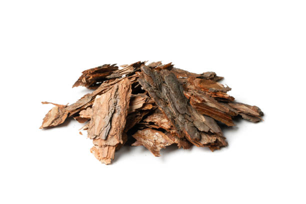 istock Heap of Pine Tree Bark Chip Isolated 1204354747