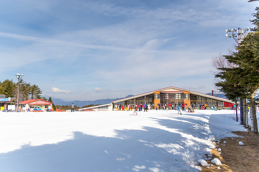 Yamanashi, Japan March 12,2017: Mount Fuji view, Crowd tourists enjoy of ski resort, slope snow valley pine, Fujiyama Top beautiful in Japan beautiful landscape in winter time at Fujiten ski resort