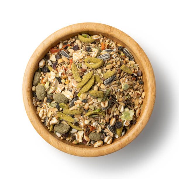 istock Dry Rodent Food Mix for Mouse, Rabbit or Degu Isolated 1204359238