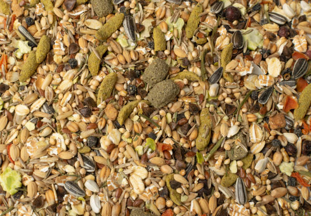 istock Dry Rodent Food Mix for Mouse, Rabbit or Degu Feed Texture 1204359241