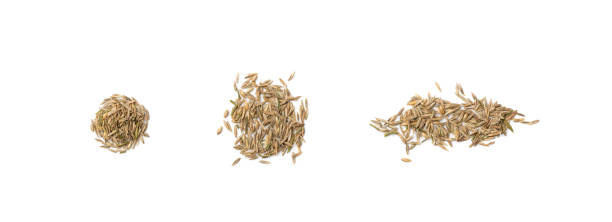 istock Heap of Loan Grass Seeds Isolated on White Background 1204359258
