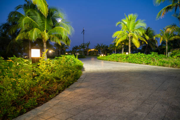 istock Road in resort park at night with palm trees on background. Soft focus 1204359377