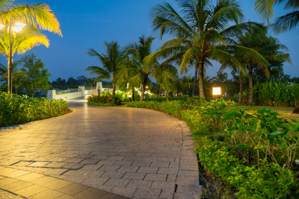 istock Road in resort park at night with palm trees on background. Soft focus 1204359409