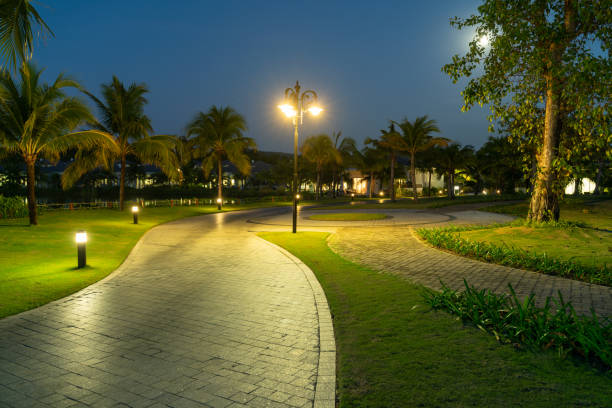 istock Road in resort park at night with palm trees on background 1204359419