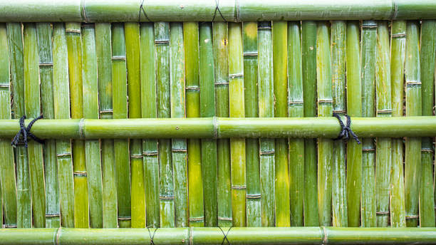 istock bamboo fence or wall texture background for interior or exterior design. 1204359504