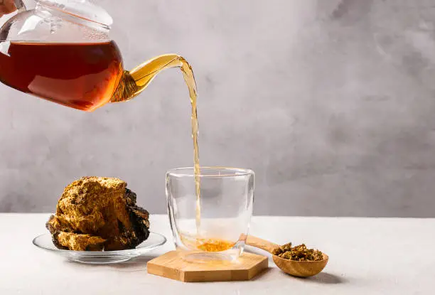 Photo of Healthy food concept. Trendy food drinks. Medicinal useful tea from forest kombucha poured from teapot into glass mug.