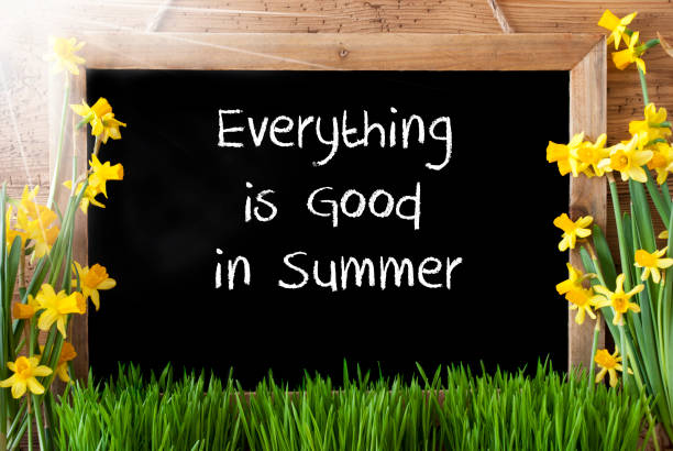 istock Sunny Spring Narcissus, Chalkboard, Quote Everything Is Good In Summer 1204363009