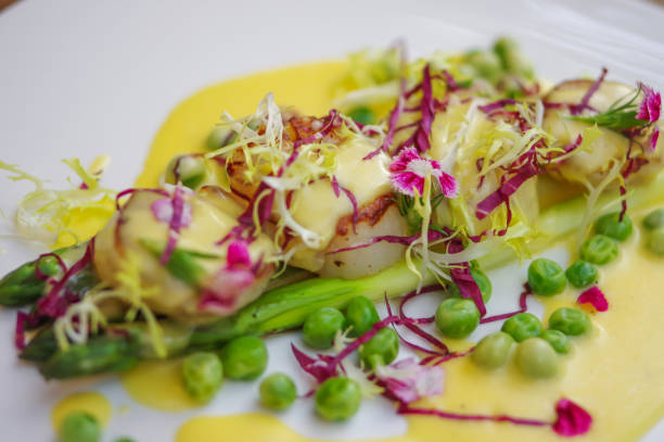 istock Grilled scallops Mediterranean cuisine dish 1204363016