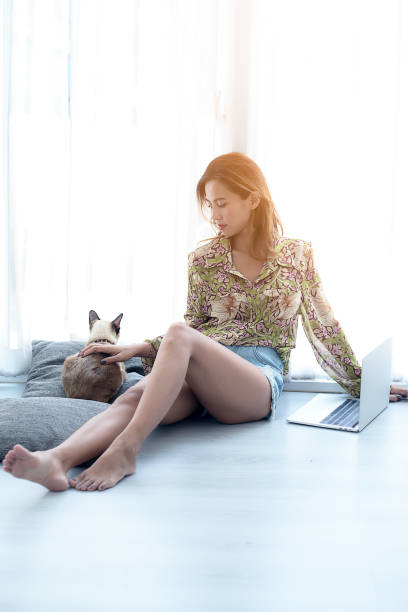 feliz mulher asiática usando tablet no chão com seu gato perto da janela em casa, conceito de estilo de vida. - domestic cat computer laptop kitten - fotografias e filmes do acervo