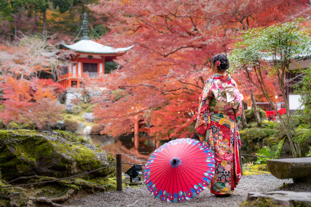 Young Japanese girl traveller in traditional kimino dress Kyoto, Japan - November 24,2019 : Young Japanese girl traveller in traditional kimino dress standing in Digoji temple with red pagoda and red maple leaf in autumn season in Kyoto, Japan. shingon buddhism stock pictures, royalty-free photos & images