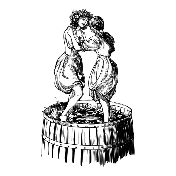 Grapes pressing by barefoot farm girls. Eco-friendly postindustrial farming. Linear drawing isolated on white background. EPS10 vector illustration