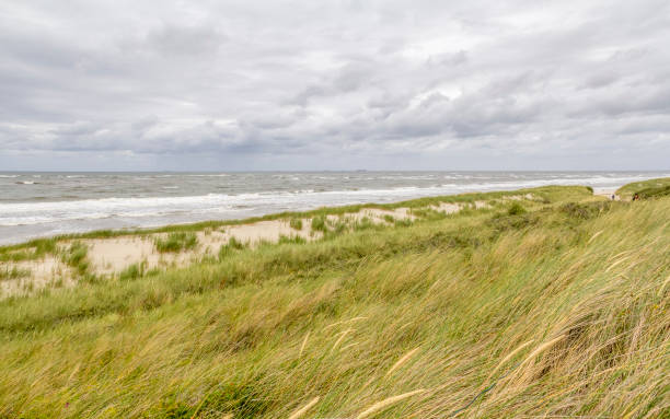 istock coastal scenery at Spiekeroog 1204367053