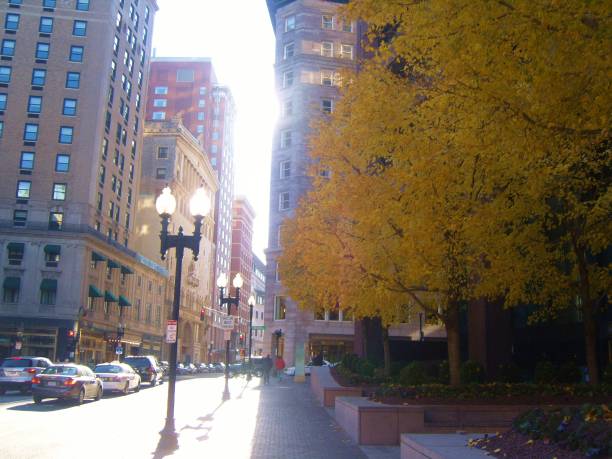 istock Yellow autumn trees on a Boston sidewalk 1204367116