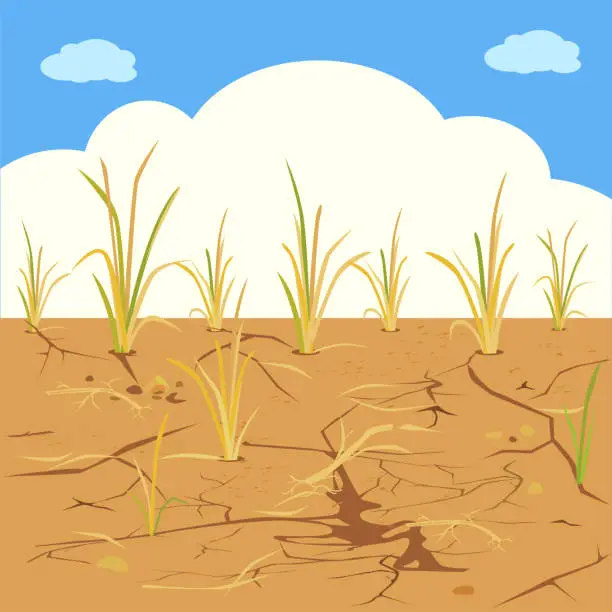 Vector illustration of Drought2