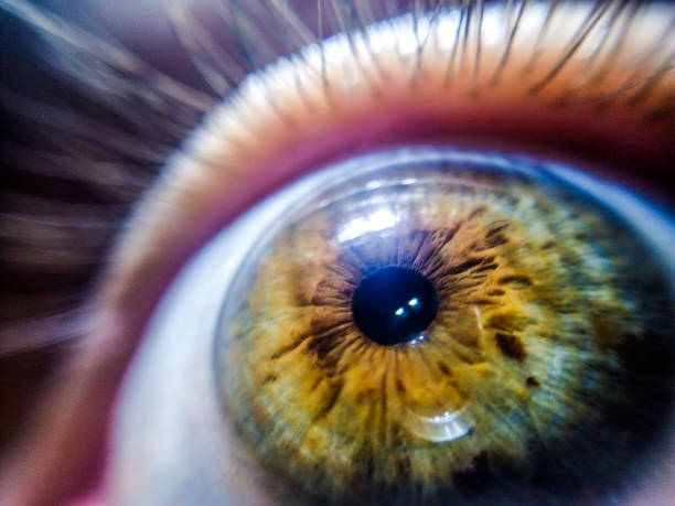 istock Close Up of Eye 1204367455
