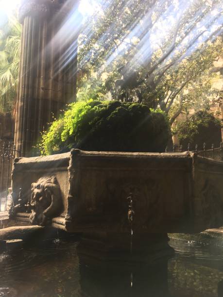 istock Sun light pierces the canopy, a sanctuary courtyard, Barcelona 1204368617