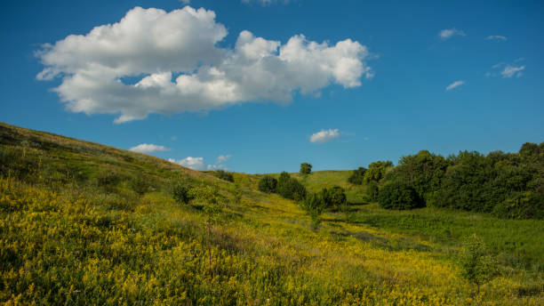 istock White clouds on a blue sky above a meadow in a hilly area. 1204369638
