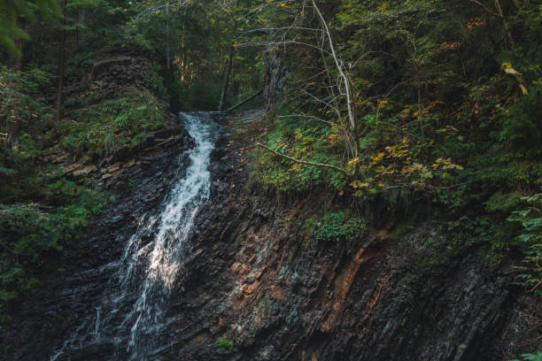 istock dark forest rocky waterfall cascade soft focus background landscape scenic view nature fresh season environment 1204372887