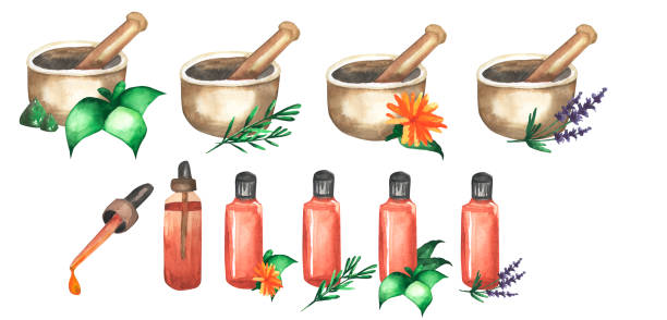 ilustraciones, imágenes clip art, dibujos animados e iconos de stock de conjunto de tarros de acuarela para aceite esencial y mortal con flores. tarros con lavanda, menta, romero, gerbera pintadoen en acuarela. aceite para aromaterapia, masajes, cuidado corporal y salud. - mortar and pestle lavender chamomile herb