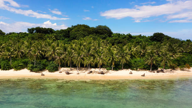 istock Wild white sand beach with coconut trees. Caramoan Islands, Philippines 1204374278