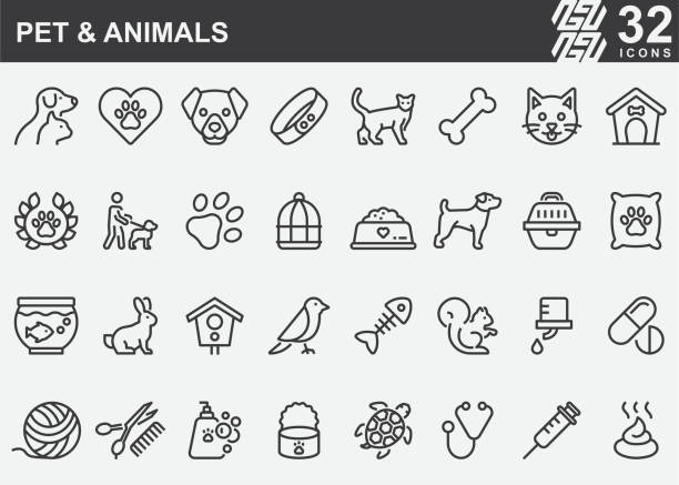 ilustraciones, imágenes clip art, dibujos animados e iconos de stock de iconos de línea de mascotas y animales - mascota