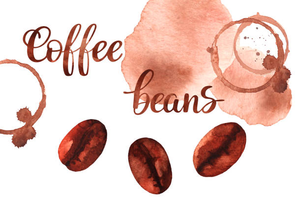 istock Food and drink illustration watercolor 1204375476